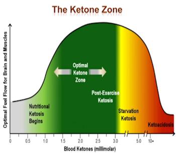The Ketogenic Zone