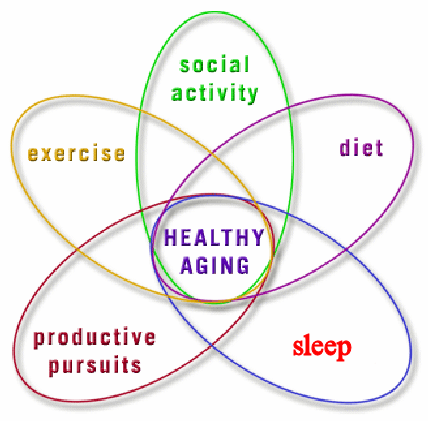 Key Factors in Healthy Living