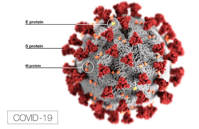 An image of a virus