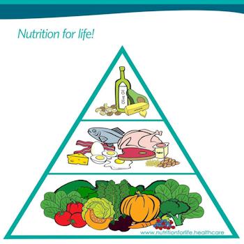 Food Pyramid